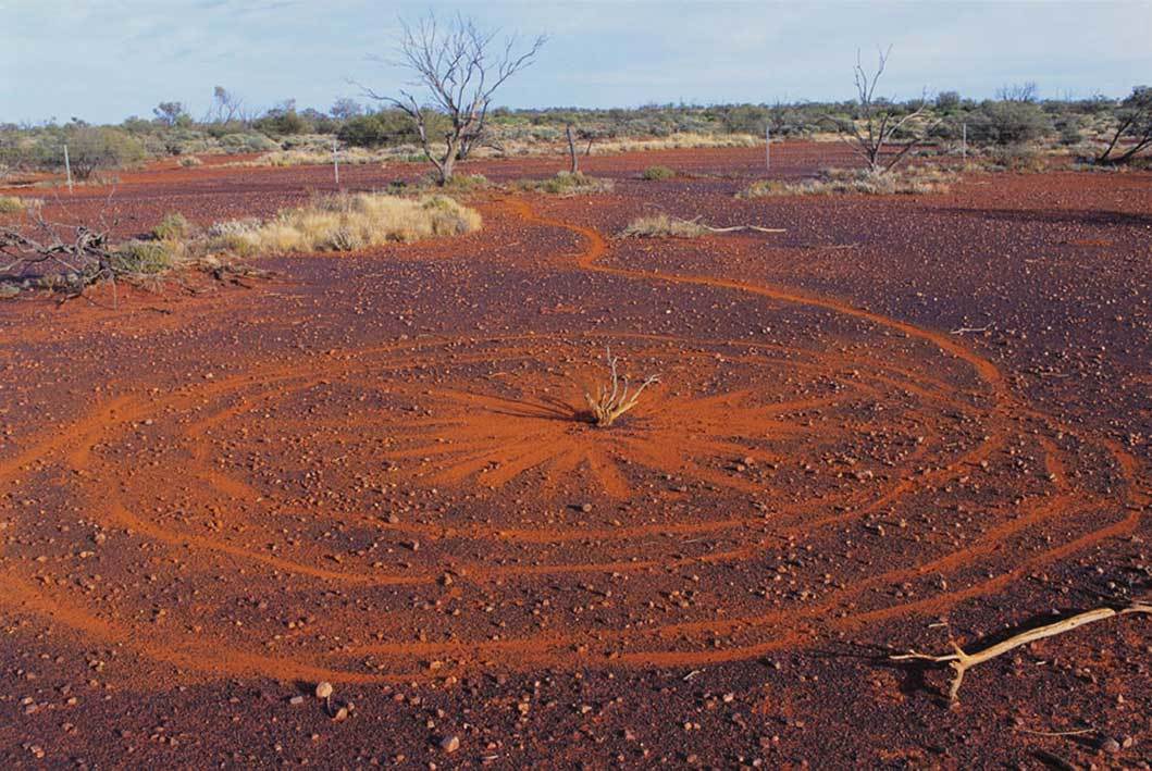 Afficher limage dorigine